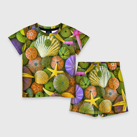 Детский костюм с шортами 3D с принтом Композиция из морских звёзд и ракушек в Санкт-Петербурге,  |  | color | composition | shell | starfish | композиция | морская звезда | ракушка | цвет